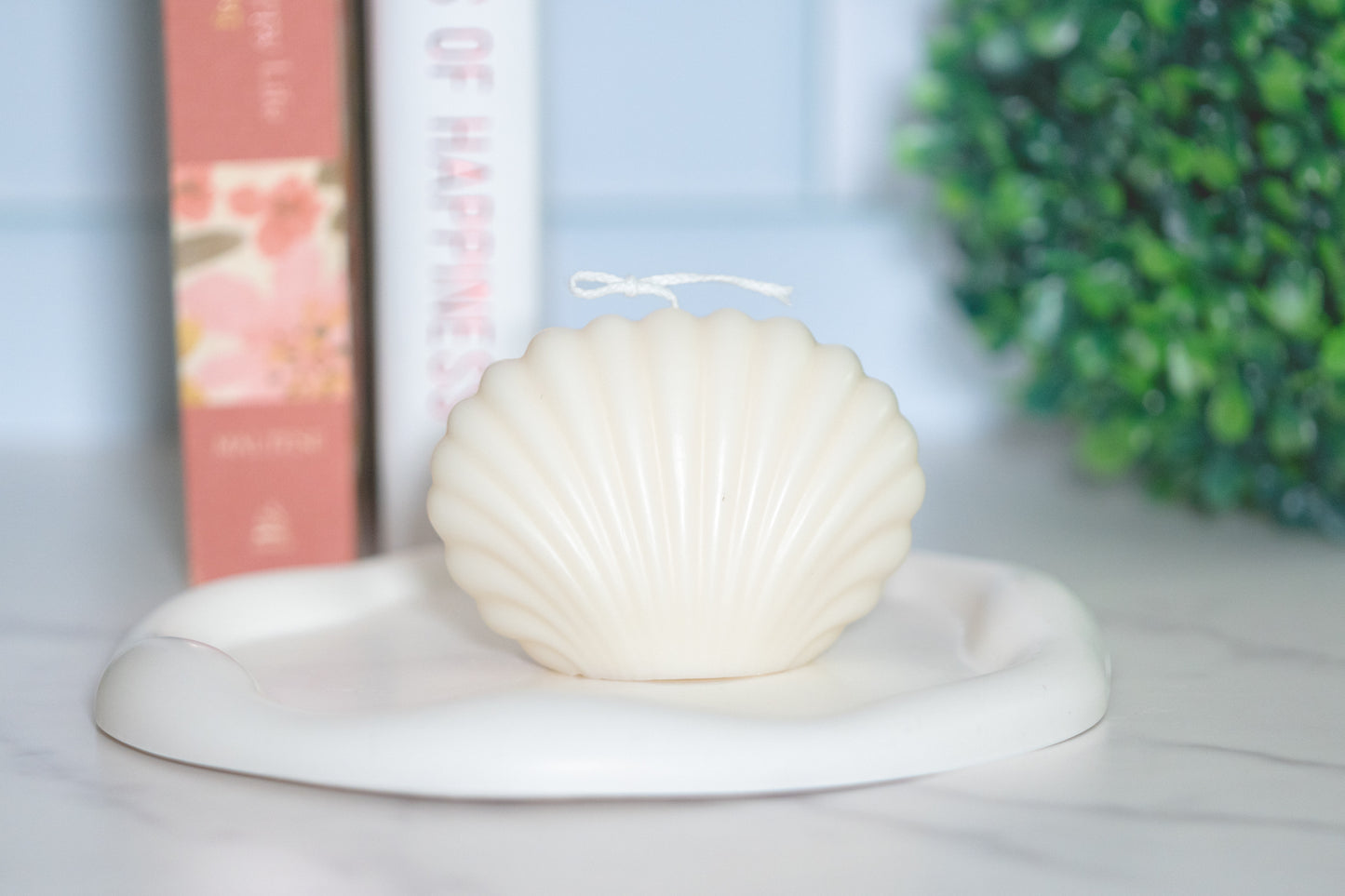 Shell